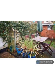 Back Garden 2
