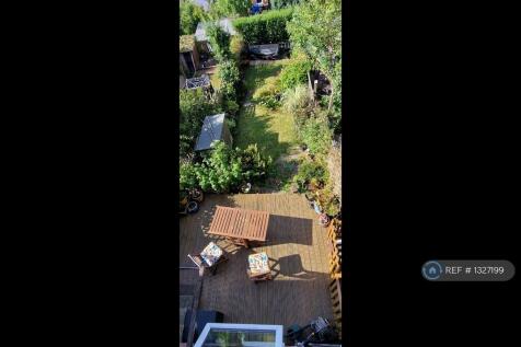 Garden Bird&#39;s Eye
