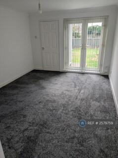 Lounge New Carpet