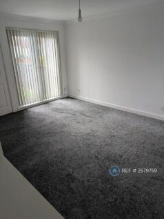 Lounge New Carpet