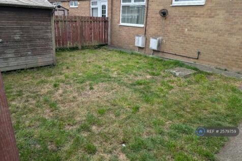 Back Garden