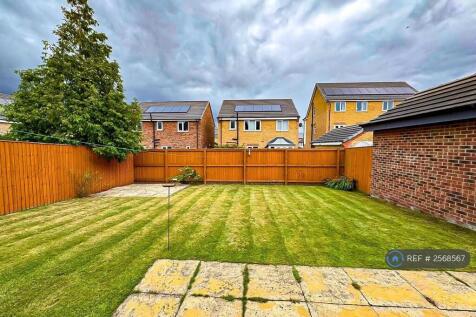 Back Garden 