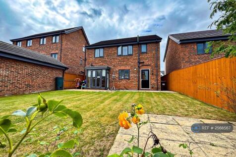 Back Garden