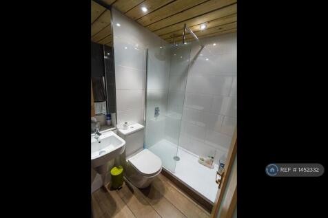 Modern Walk-In Wet-Room
