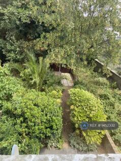 Lush Communal Garden With Seating