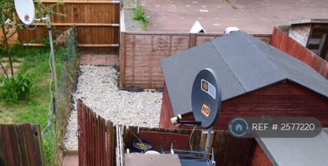 Back Garden
