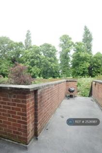Rear Patio