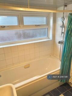 Bathroom Downstairs
