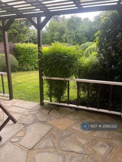 Outside Conservatory Area