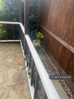 Conservatory Area