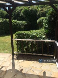 Patio Area