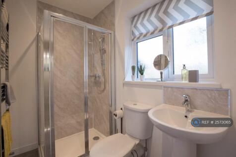 Your Shared Bathroom, Power Shower