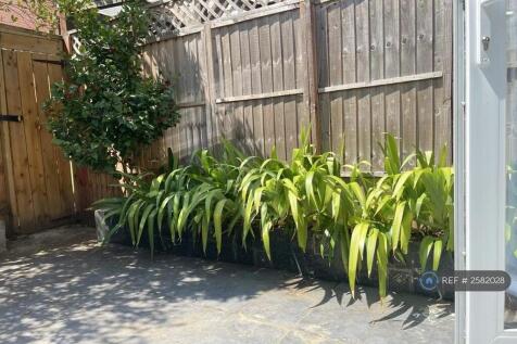 Corner Of Garden 
