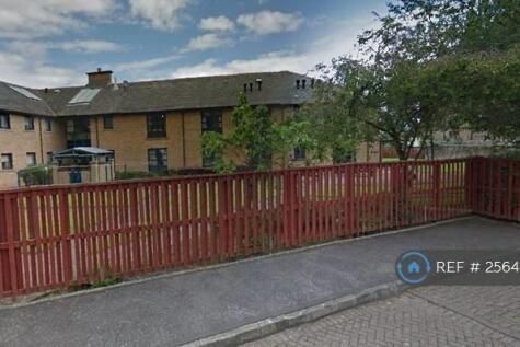 Rear Entrance &amp; Garden
