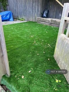Garden 2