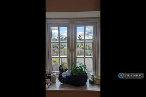 View From Living Room