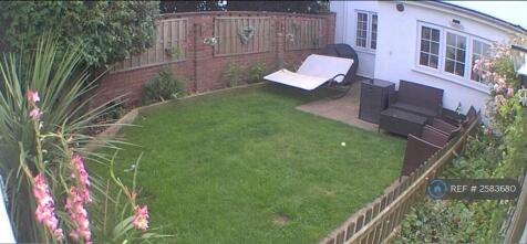 Back Garden