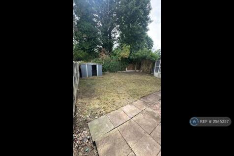 Back Garden