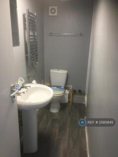 Freshly Decorated Bathroom 