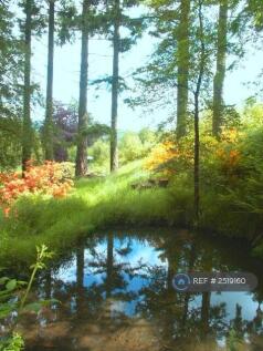 3rd Pool &amp; Azaleas