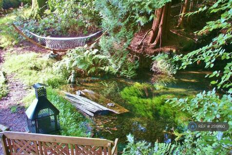 Hammock Next To Waterfalls Pool
