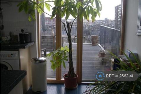View From Kitchen