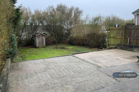 Back Garden 