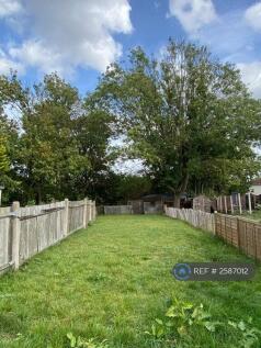 Garden (Green Space)