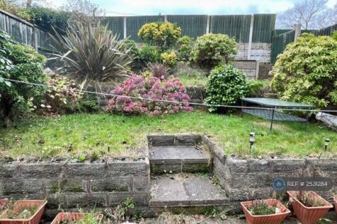 Shared Garden