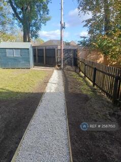 Recently Renovated Garden 2