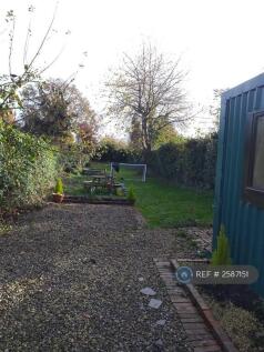 Back Garden