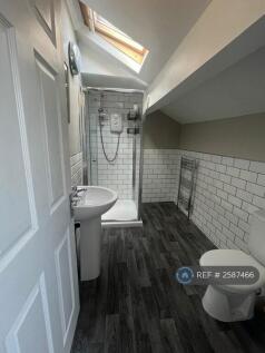 Electric Shower / Bathroom