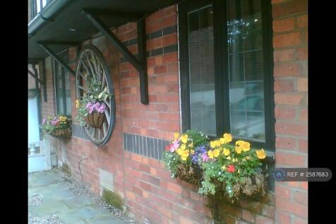 Window Boxes
