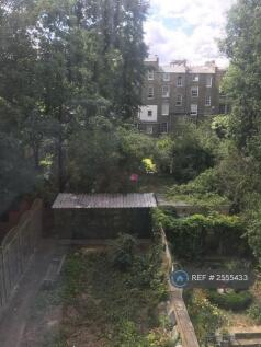 View From Back Windows