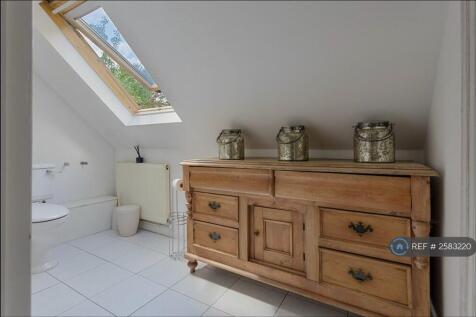 Bath / Shower / Toilet Area