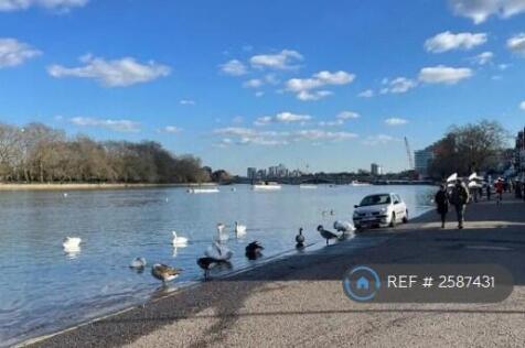 Putney River Bank