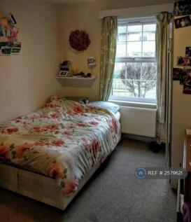 Downstairs Bedroom
