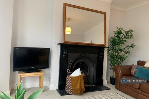 Living Room Fireplace 