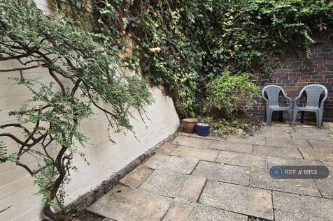 Back Yard 1