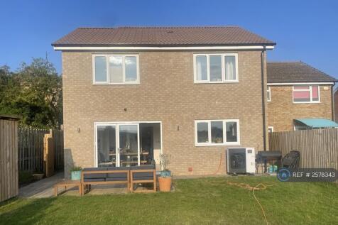 Back Of House