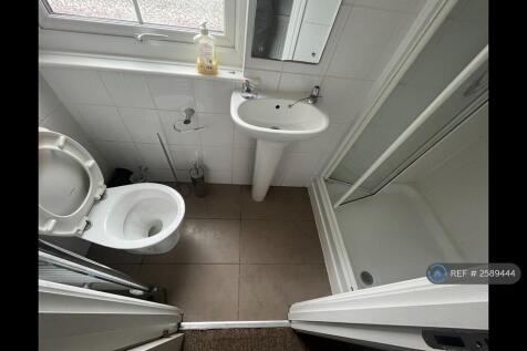 Electric Sports Shower And Toilet