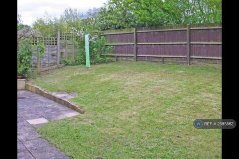 Back Garden