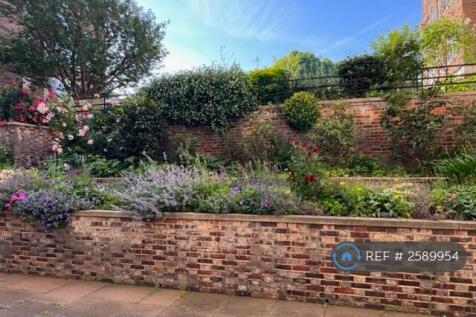 Attractive Mature Garden