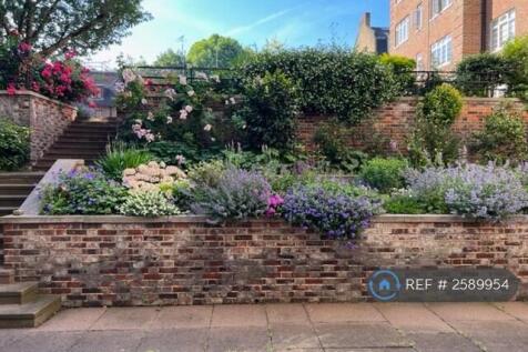 Attractive Mature Garden