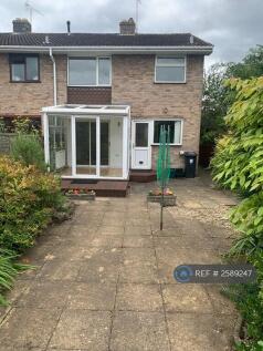 Back Garden