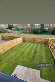 Back Garden 