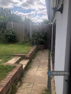 Patio Area 