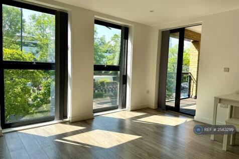 Beautiful Soft Lighting From South Facing Windows