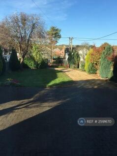 The Garden And Entrance