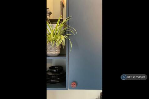 Kitchen Detail